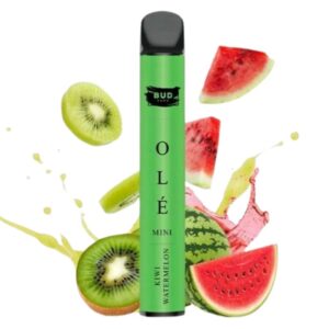 BUD VAPE MINI